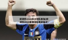 欧洲杯2024多少球队参加(欧洲杯2024参赛球队数目确定)