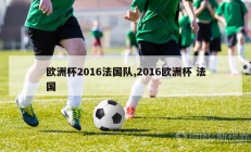 欧洲杯2016法国队,2016欧洲杯 法国