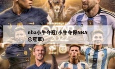 nba小牛夺冠(小牛夺得NBA总冠军)