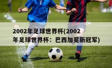 2002年足球世界杯(2002年足球世界杯：巴西加冕新冠军)