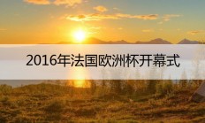 2016年法国欧洲杯于法国当地时间 6月10日至7月10日在法国境内9座城市的12座球场内举行