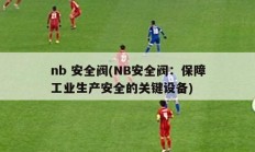 nb 安全阀(NB安全阀：保障工业生产安全的关键设备)