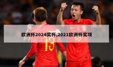 欧洲杯2024奖杯,2021欧洲杯奖项