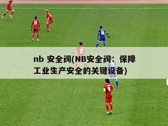 nb 安全阀(NB安全阀：保障工业生产安全的关键设备)