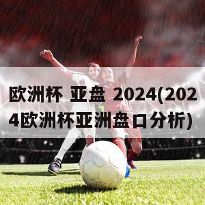 欧洲杯 亚盘 2024(2024欧洲杯亚洲盘口分析)