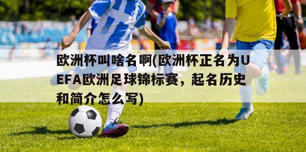 欧洲杯叫啥名啊(欧洲杯正名为UEFA欧洲足球锦标赛，起名历史和简介怎么写)