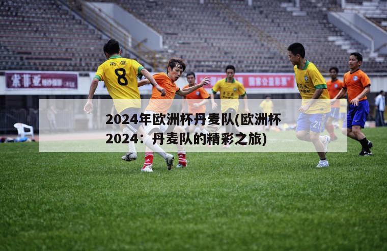 2024年欧洲杯丹麦队(欧洲杯2024：丹麦队的精彩之旅)