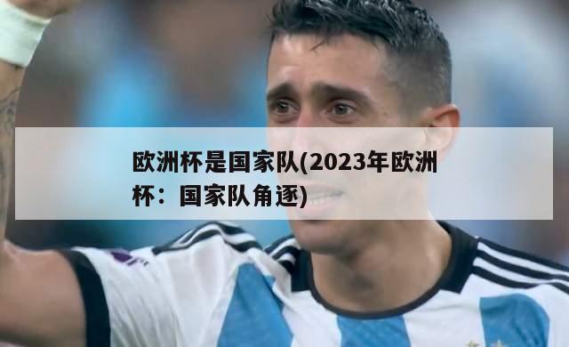 欧洲杯是国家队(2023年欧洲杯：国家队角逐)