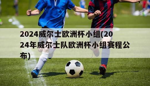 2024威尔士欧洲杯小组(2024年威尔士队欧洲杯小组赛程公布)