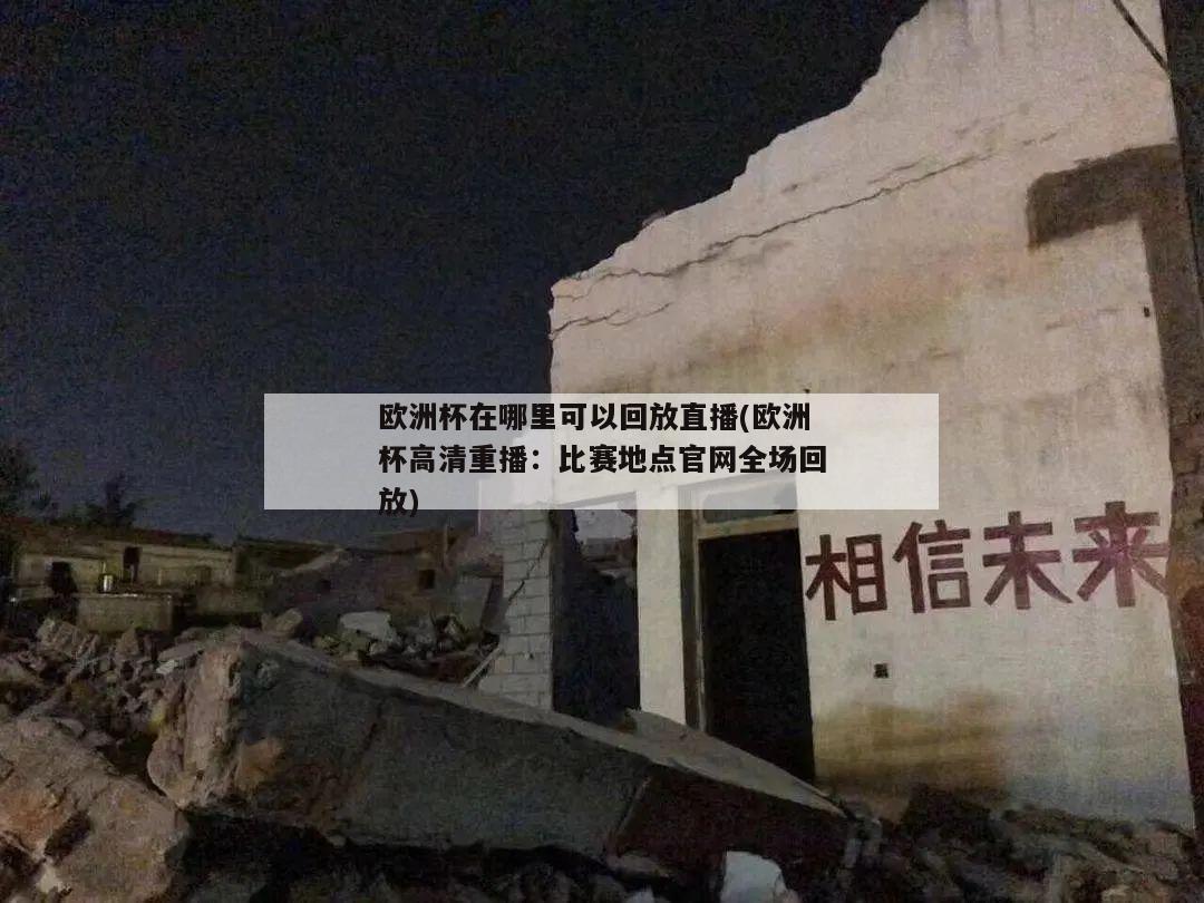 欧洲杯在哪里可以回放直播(欧洲杯高清重播：比赛地点官网全场回放)