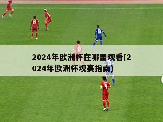 2024年欧洲杯在哪里观看(2024年欧洲杯观赛指南)