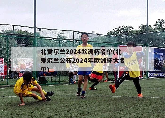 北爱尔兰2024欧洲杯名单(北爱尔兰公布2024年欧洲杯大名单)