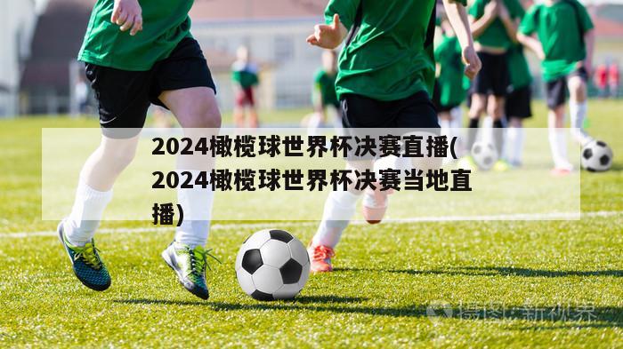 2024橄榄球世界杯决赛直播(2024橄榄球世界杯决赛当地直播)